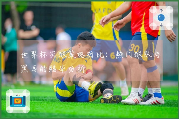 世界杯买球策略对比：热门球队与黑马的赔率分析