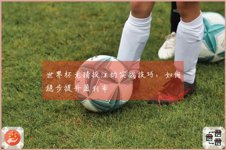 世界杯竞猜投注的实战技巧，如何稳步提升盈利率