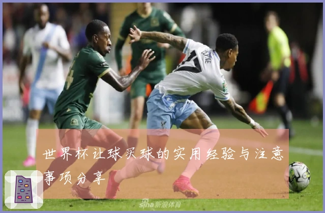 世界杯让球买球的实用经验与注意事项分享
