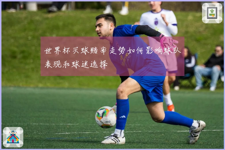 世界杯买球赔率走势如何影响球队表现和球迷选择