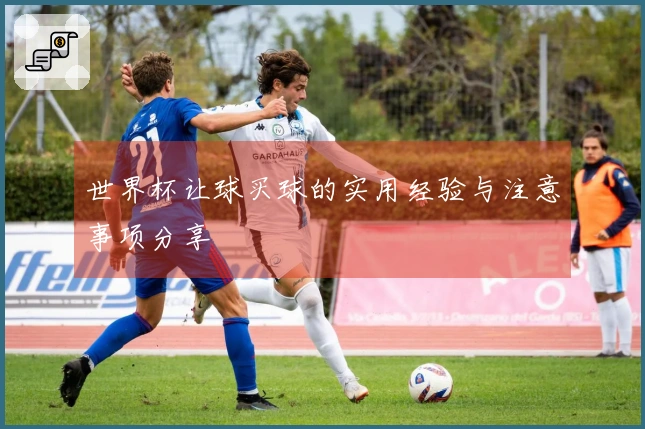 世界杯让球买球的实用经验与注意事项分享