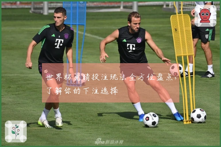 世界杯竞猜投注玩法全方位盘点，了解你的下注选择