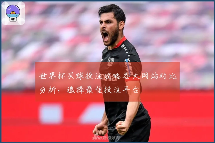 世界杯买球投注攻略各大网站对比分析，选择最佳投注平台