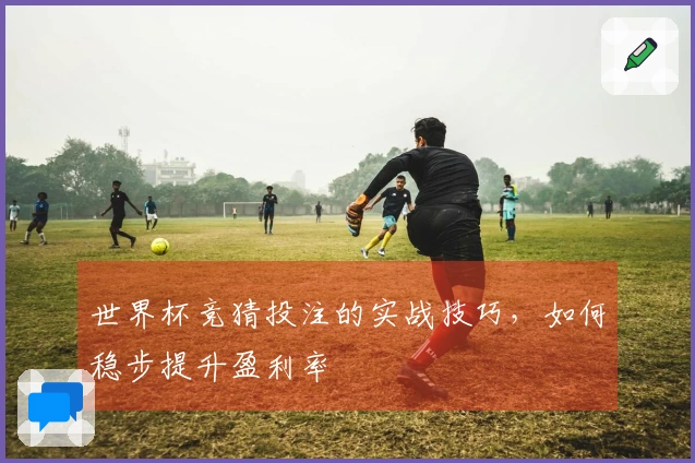 世界杯竞猜投注的实战技巧，如何稳步提升盈利率