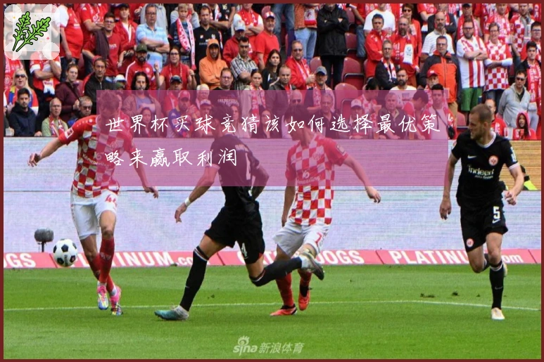 世界杯买球竞猜该如何选择最优策略来赢取利润