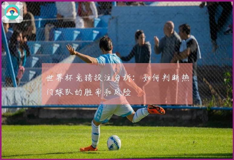世界杯竞猜投注分析:如何判断热门球队的胜率和风险