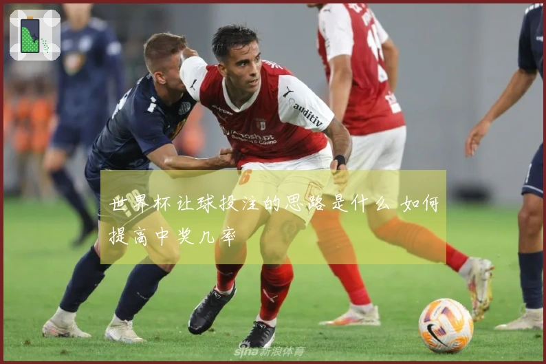 世界杯让球投注的思路是什么 如何提高中奖几率