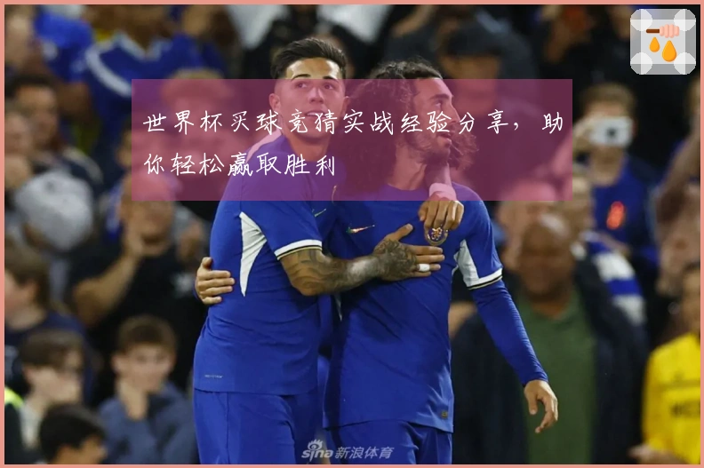 世界杯买球竞猜实战经验分享，助你轻松赢取胜利
