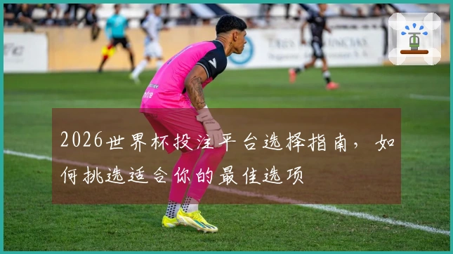 2026世界杯投注平台选择指南，如何挑选适合你的最佳选项
