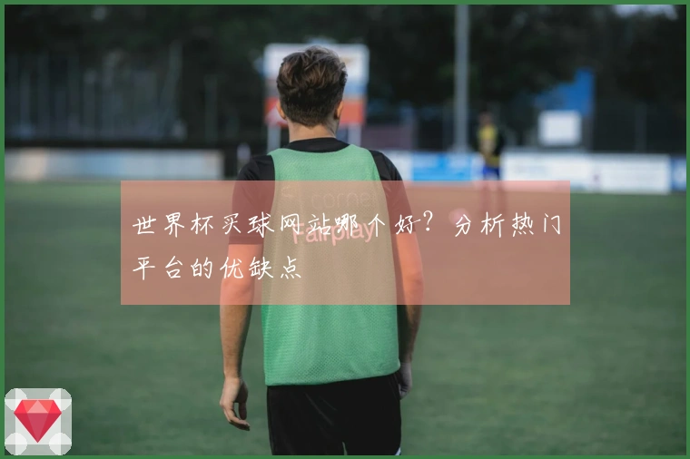 世界杯买球网站哪个好？分析热门平台的优缺点