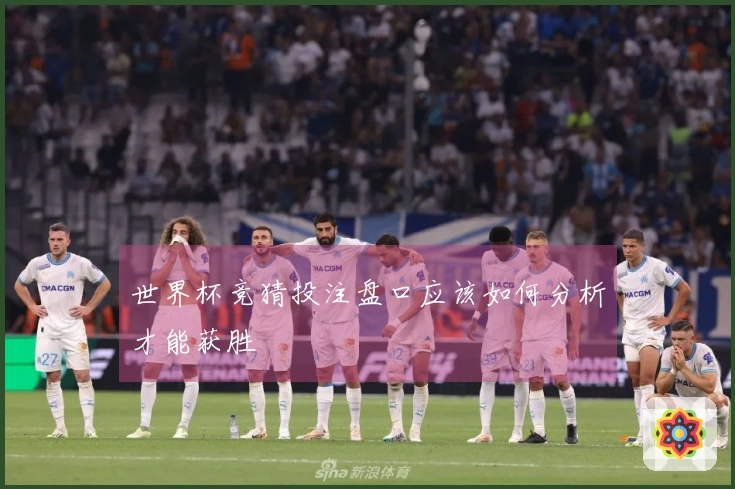 世界杯竞猜投注盘口应该如何分析才能获胜