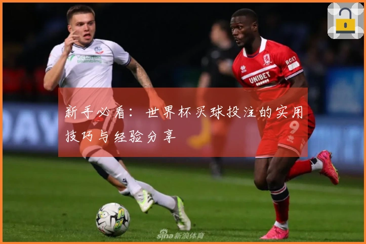 新手必看：世界杯买球投注的实用技巧与经验分享