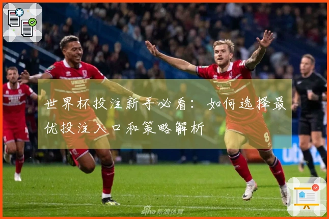 世界杯投注新手必看:如何选择最优投注入口和策略解析