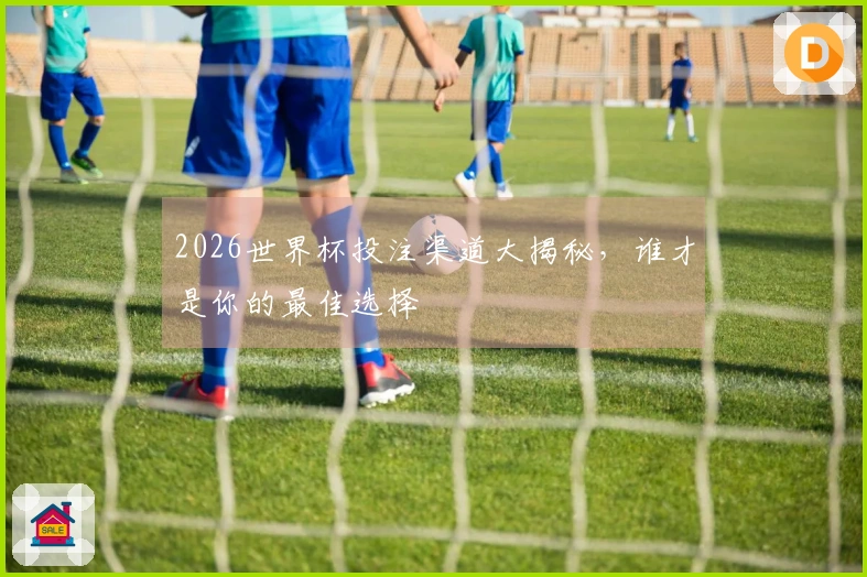 2026世界杯投注渠道大揭秘，谁才是你的最佳选择