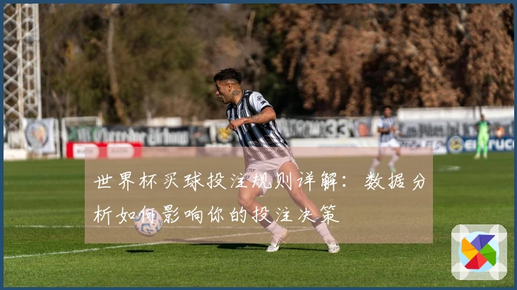 世界杯买球投注规则详解：数据分析如何影响你的投注决策