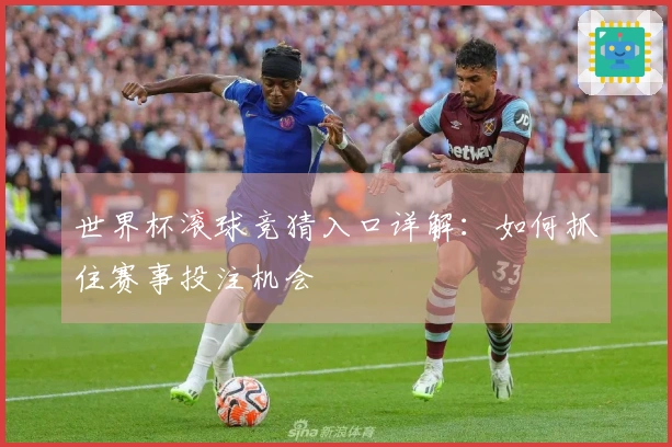 世界杯滚球竞猜入口详解：如何抓住赛事投注机会
